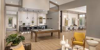 Prose Horizon Village Gallery 16