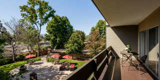 Palo Alto Place Gallery 8