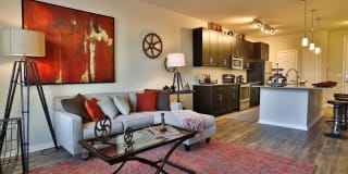 Olympus Steelyard Gallery 15