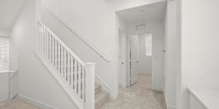 430 Lobata Gallery 11