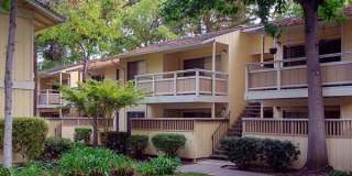 Evelyn Gardens Gallery 24