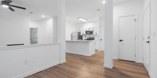 Avana Lexington Gallery 18