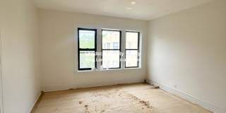 7351 North Damen Ave. Gallery 1