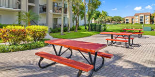 Coral Vista Gallery 21