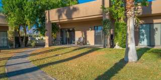 28984 Desert Princess Drive Gallery 16