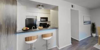 ATX North Gallery 12