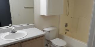 5 bedroom 3 bath Gallery 9