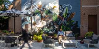 The Magnolia Gallery 15