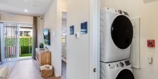 Yardly Beltmill Yardly Beltmill Gallery 3