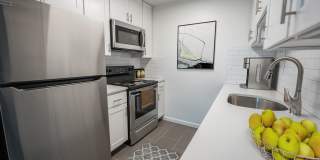 Rosemont Plaza Gallery 9