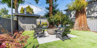 Pruneyard West Gallery 29