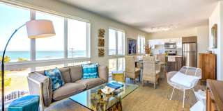 Ocean 650 Gallery 9