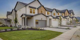 Mt. Rainier Gallery 2