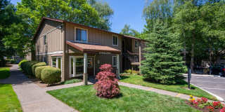 Chelan Gallery 49