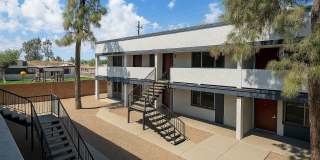 1223 East Jarvis Avenue - 1 Gallery 12