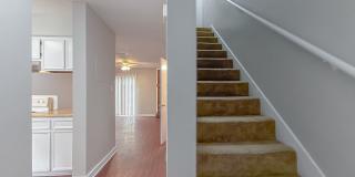 CUTE 2/1.5 w/ New Paint, Washer and Dryer, Close to TCC & FSU! Available NOW for $1050/month! Gallery 6
