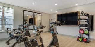 Delamarre at Celebration Gallery 8