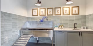 The Marke Gallery 25