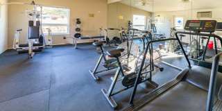 Audubon Square Gallery 13