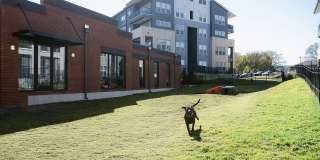 Livano Nations Gallery 47