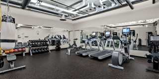 The Stadium Apartments Gallery 16