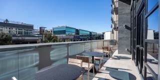 Korina and Alder at The Grove Korina and Alder at The Grove Gallery 31