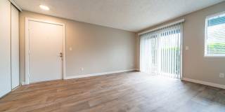 Village at Sota Gallery 14