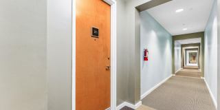 335 SE 6th Avenue Gallery 31