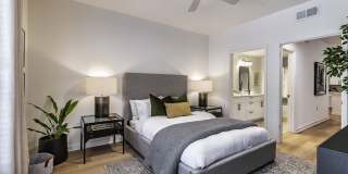 The Lola The Lola Gallery 12