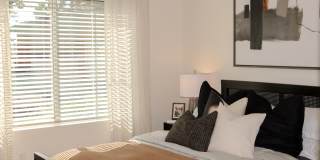 Altair Apartments Gallery 4