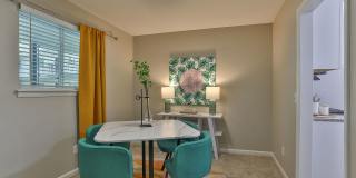 Cooper at Forest Acres Gallery 1