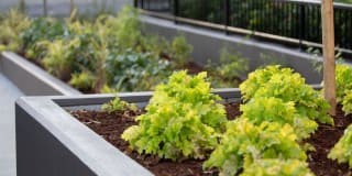 Edition Apartments Gallery 6