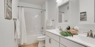 Linden Flats Gallery 4