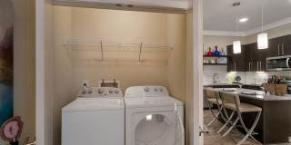 Aster Apartments Gallery 31