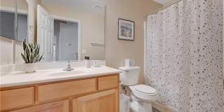 10145 MALIBU CREEK Court Gallery 41