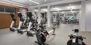 Charles River Landing Gallery 24