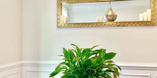 3634 Commodore Joshua Barney Drive Northeast Gallery 34