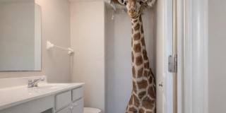 5630 Alliance Way Gallery 52