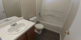 1238 Lion King Gallery 8