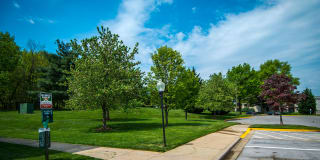 Ashley Apartments Gallery 31