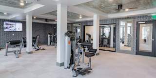 Bayswater Gallery 23