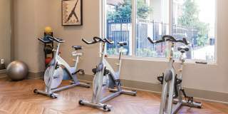 The Southerly Gallery 29