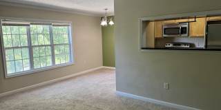 15659 Horseshoe Lane - 1 Gallery 14
