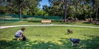 1641 N Shadowview Path Gallery 50