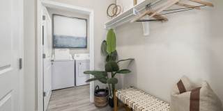 Banyan Silo Ridge Gallery 9