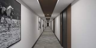 Saddlebridge Gallery 6