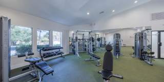 Sage at Green Valley Gallery 17