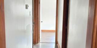 Charming 3-bedrooms/1-bath home in LaRoche Park Gallery 20