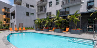 The Willows Gallery 10