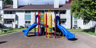 The Verge Gallery 26